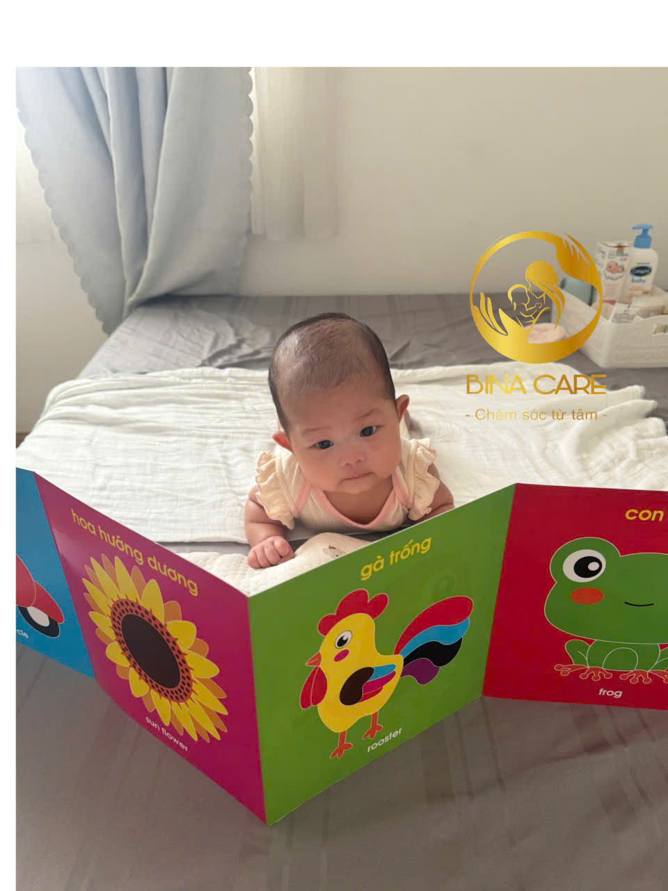 đào tạo Nanny bảo mẫu cao cấp tại nhà